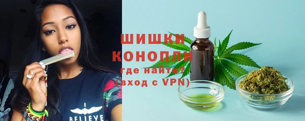 2c-b Кукмор