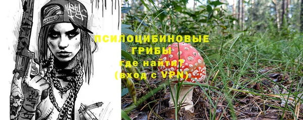 ПСИЛОЦИБИНОВЫЕ ГРИБЫ Краснотурьинск