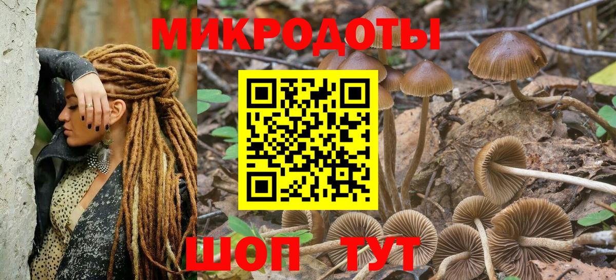 Псилоцибиновые грибы GOLDEN TEACHER  Вход с VPN  Удомля  Псилоцибиновые грибы мухоморы 